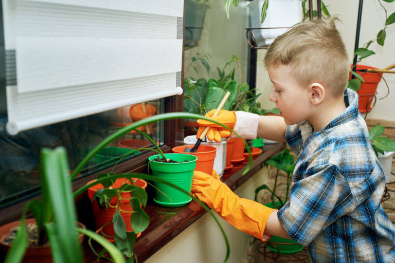 indoor garden